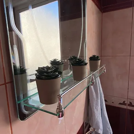 The Red Oasis - Luxury Villa Durrës
