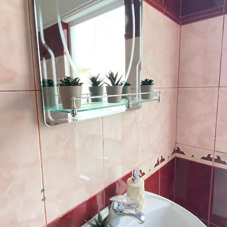 The Red Oasis - Luxury